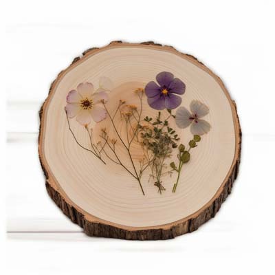 pressed flower coasters